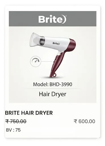 BRITE HAIR DRYER